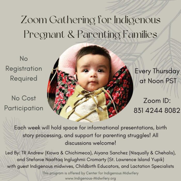 Zoom Gatherings for Indigenous Pregnant & Parenting Families