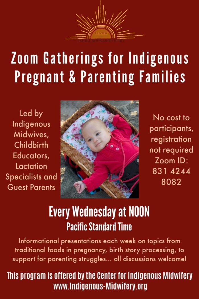 Zoom Gatherings for Indigenous Pregnant & Parenting Families