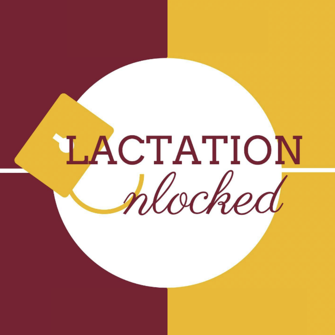Lactation Unlocked Conference Open Arms Perinatal Services